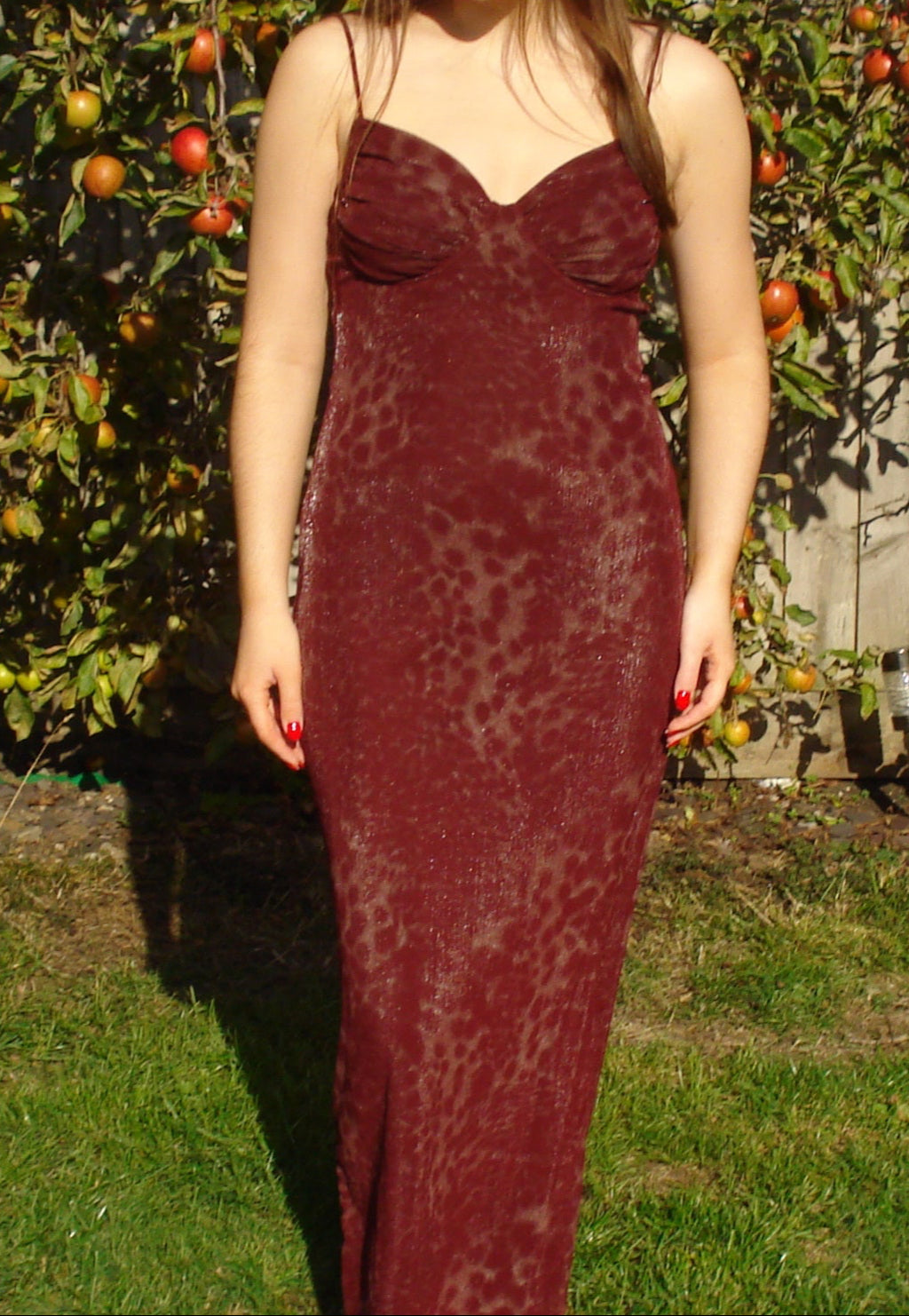 'Jasmine' Mesh Leopard Print Dress