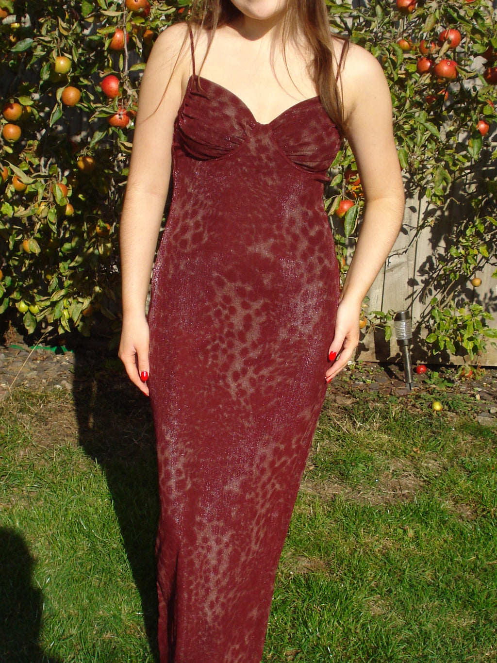 'Jasmine' Mesh Leopard Print Dress