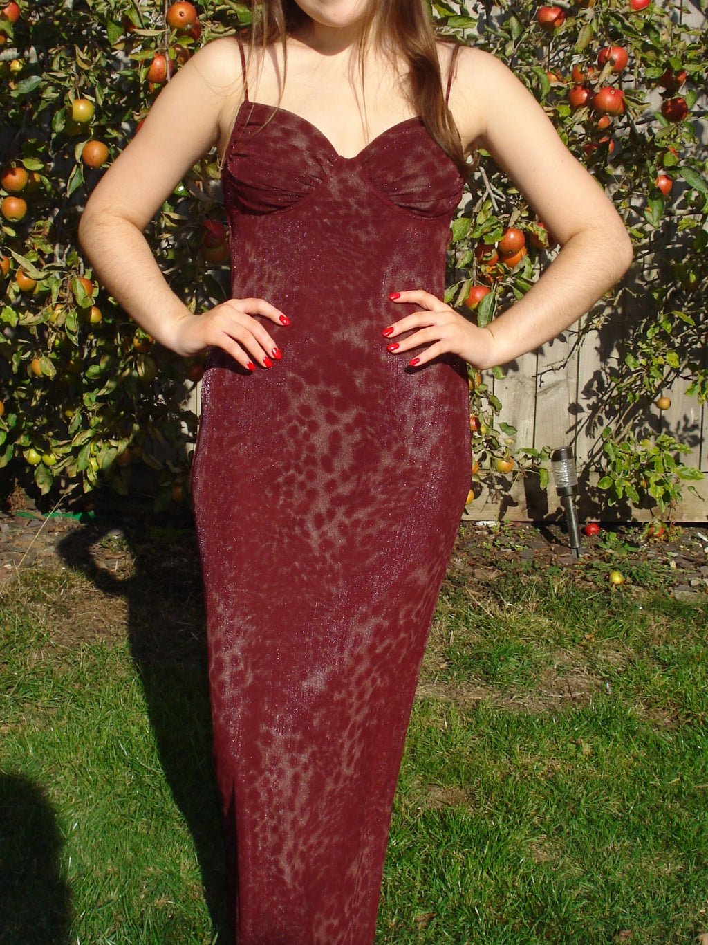 'Jasmine' Mesh Leopard Print Dress